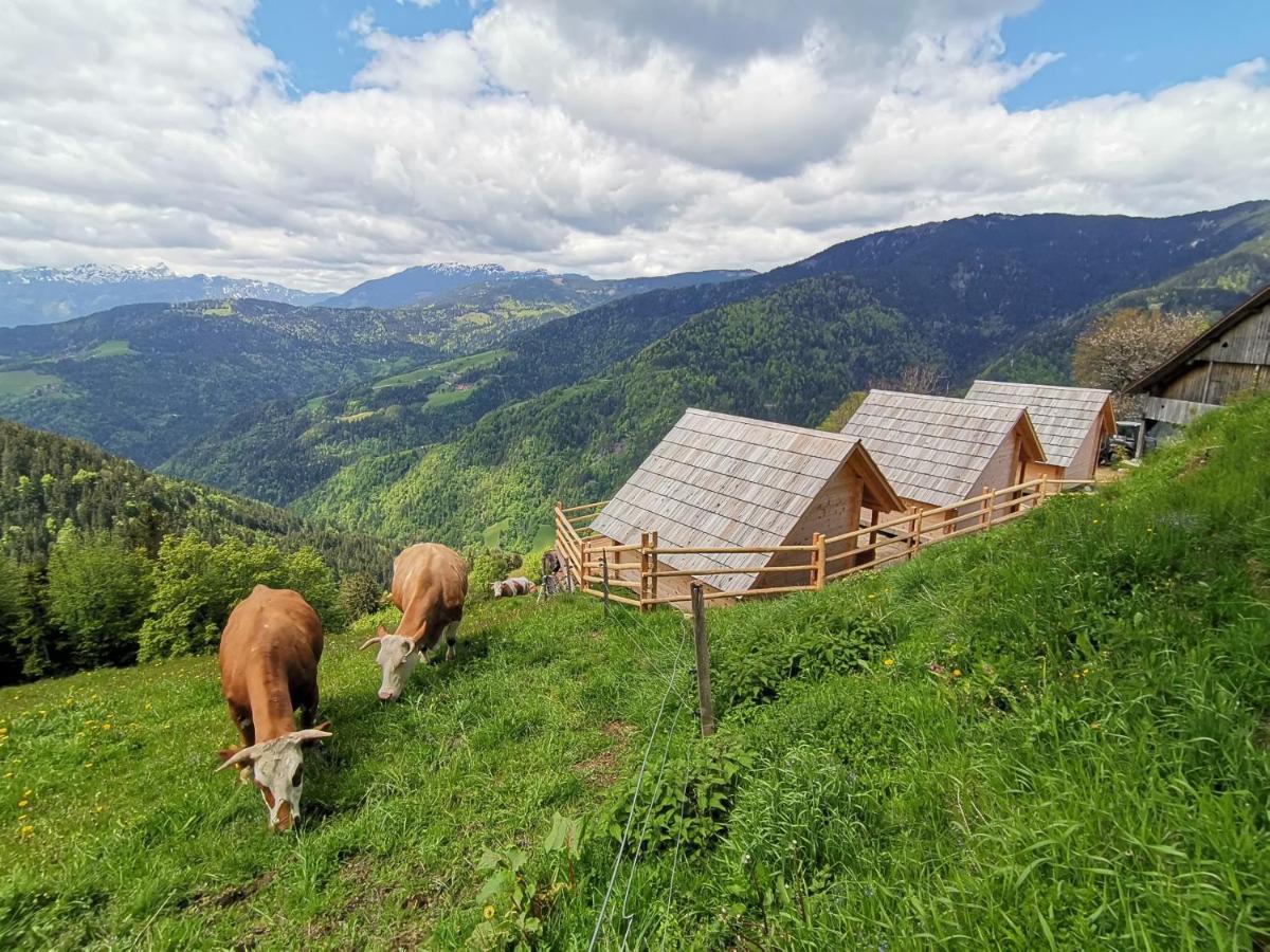 Farmstay&Glamping Visocnik Ljubno Exteriér fotografie