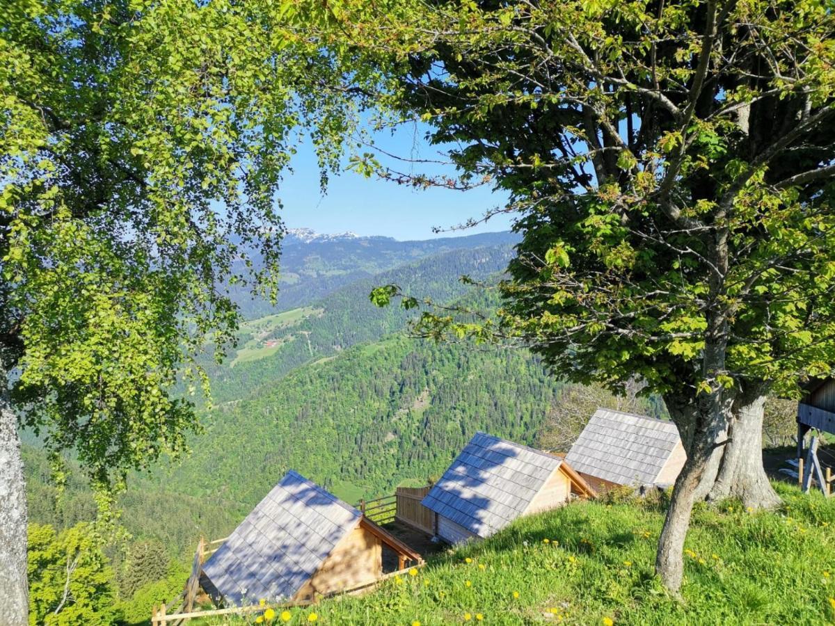 Farmstay&Glamping Visocnik Ljubno Exteriér fotografie