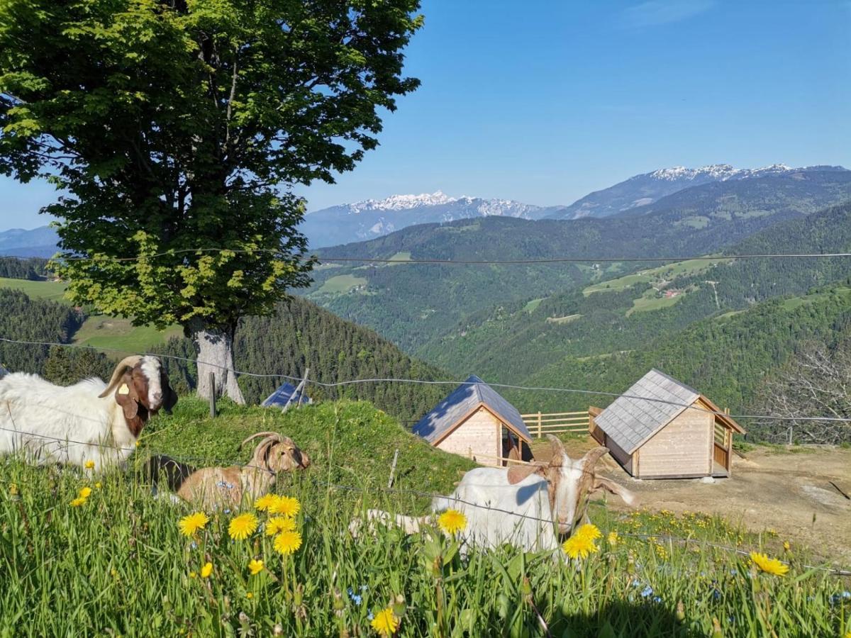 Farmstay&Glamping Visocnik Ljubno Exteriér fotografie