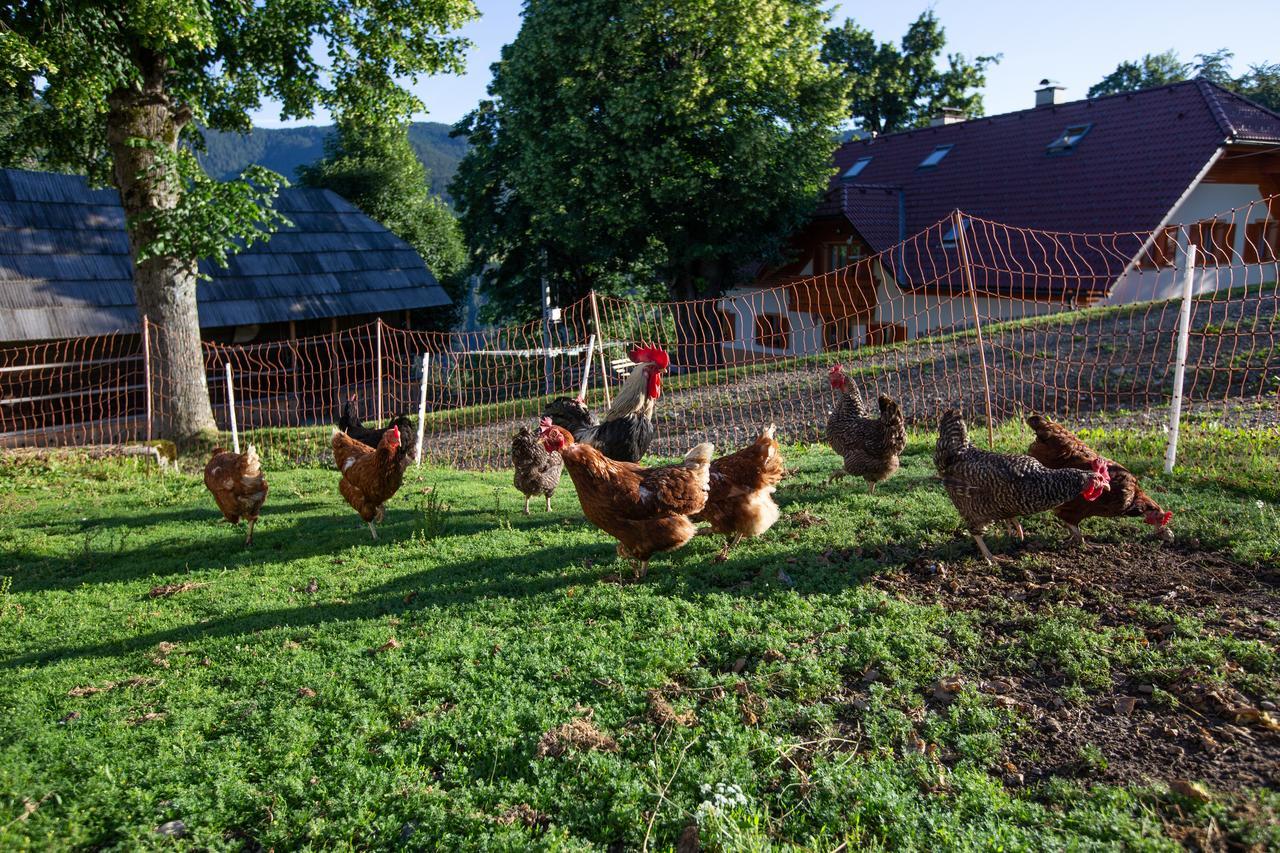 Farmstay&Glamping Visocnik Ljubno Exteriér fotografie
