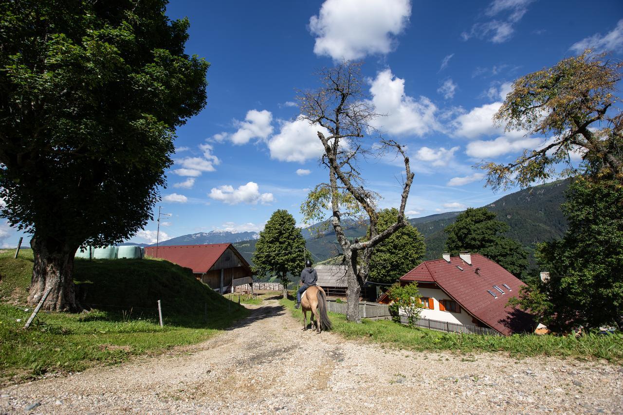 Farmstay&Glamping Visocnik Ljubno Exteriér fotografie