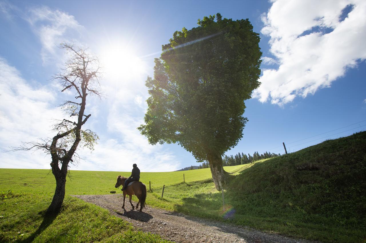 Farmstay&Glamping Visocnik Ljubno Exteriér fotografie