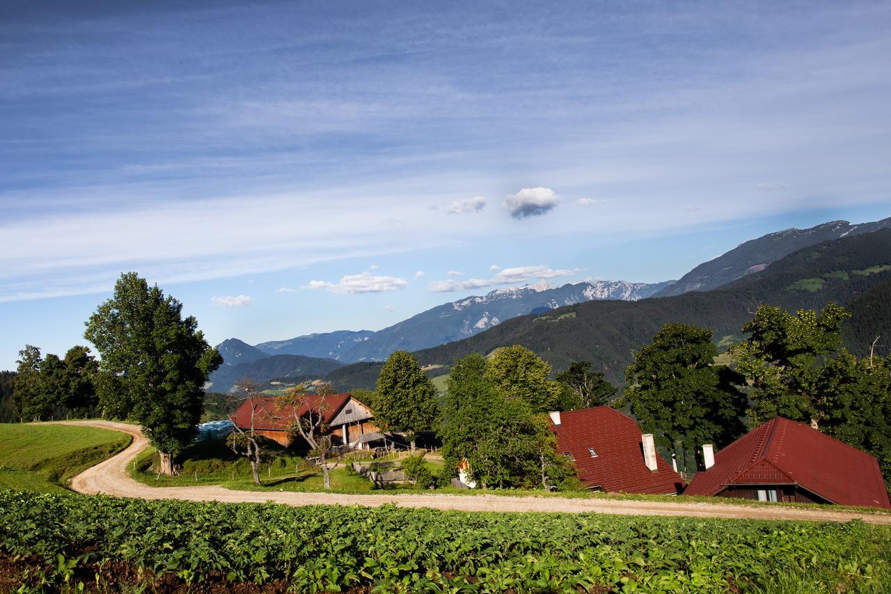 Farmstay&Glamping Visocnik Ljubno Exteriér fotografie