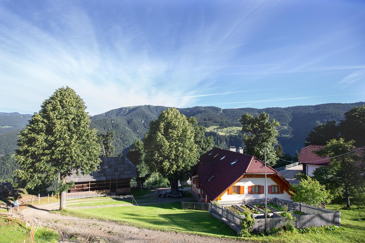 Farmstay&Glamping Visocnik Ljubno Exteriér fotografie
