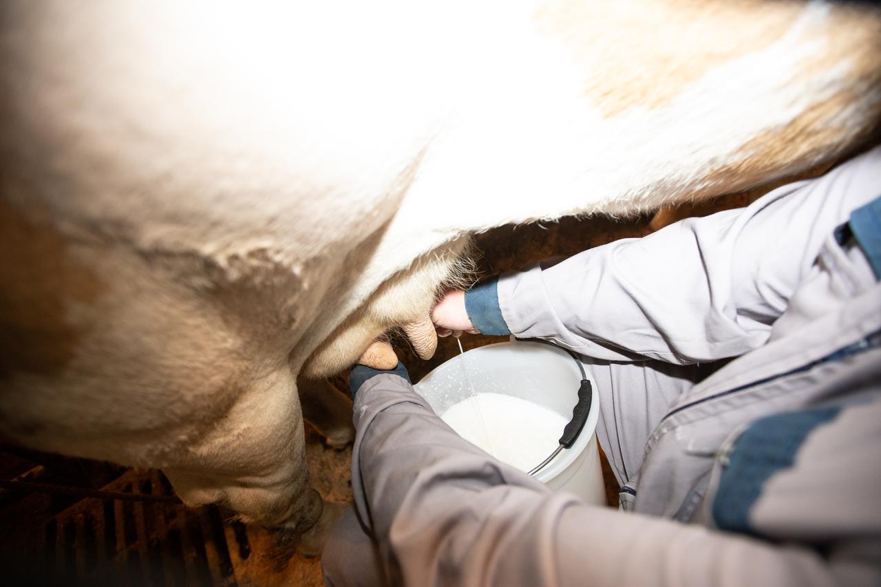 Farmstay&Glamping Visocnik Ljubno Exteriér fotografie
