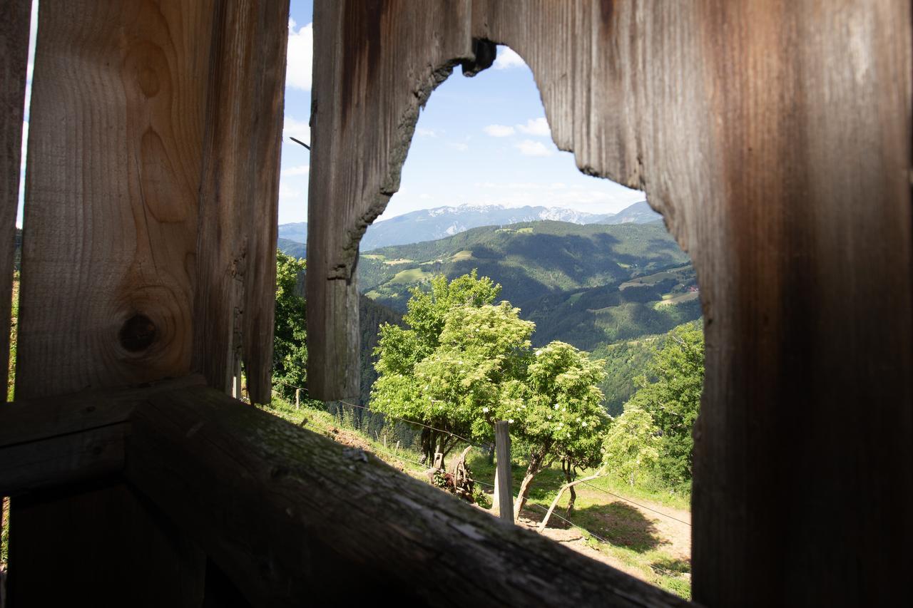 Farmstay&Glamping Visocnik Ljubno Exteriér fotografie