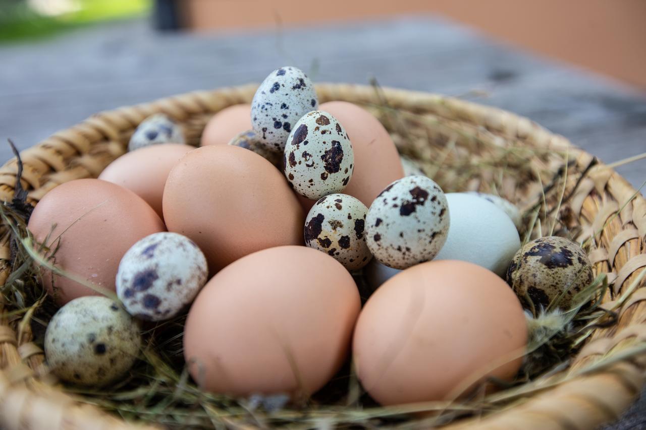 Farmstay&Glamping Visocnik Ljubno Exteriér fotografie