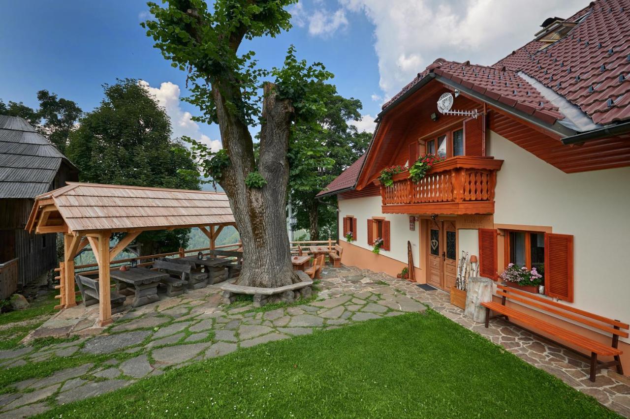 Farmstay&Glamping Visocnik Ljubno Exteriér fotografie