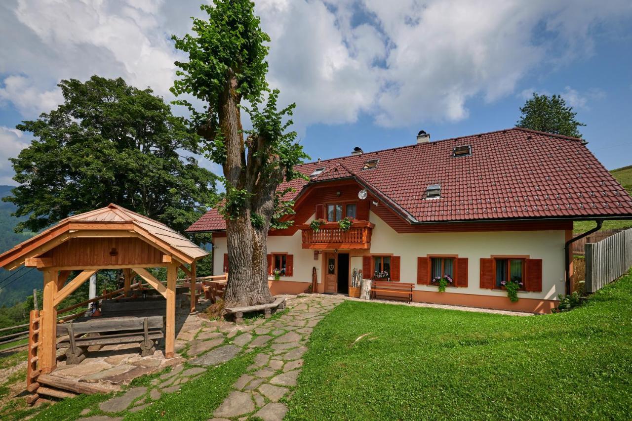 Farmstay&Glamping Visocnik Ljubno Exteriér fotografie