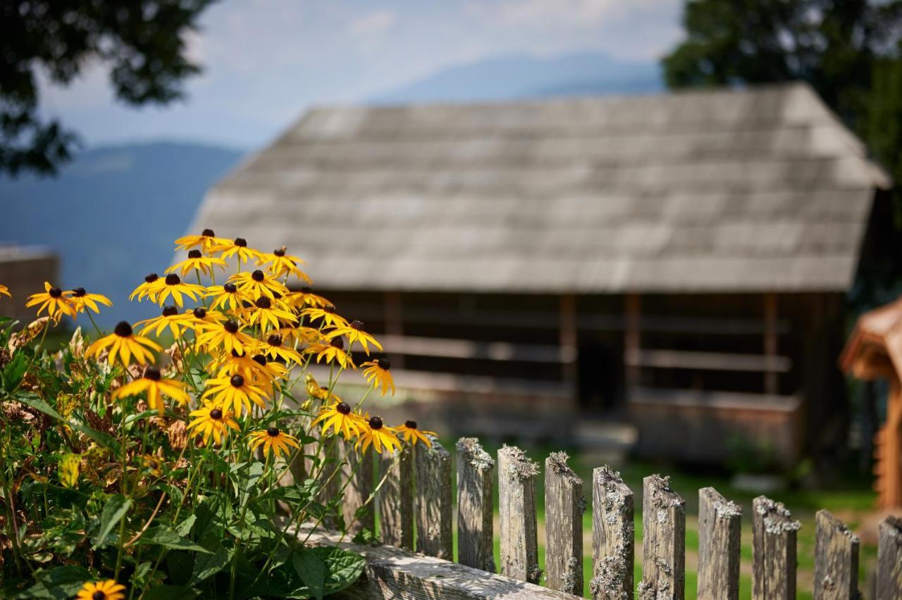 Farmstay&Glamping Visocnik Ljubno Exteriér fotografie