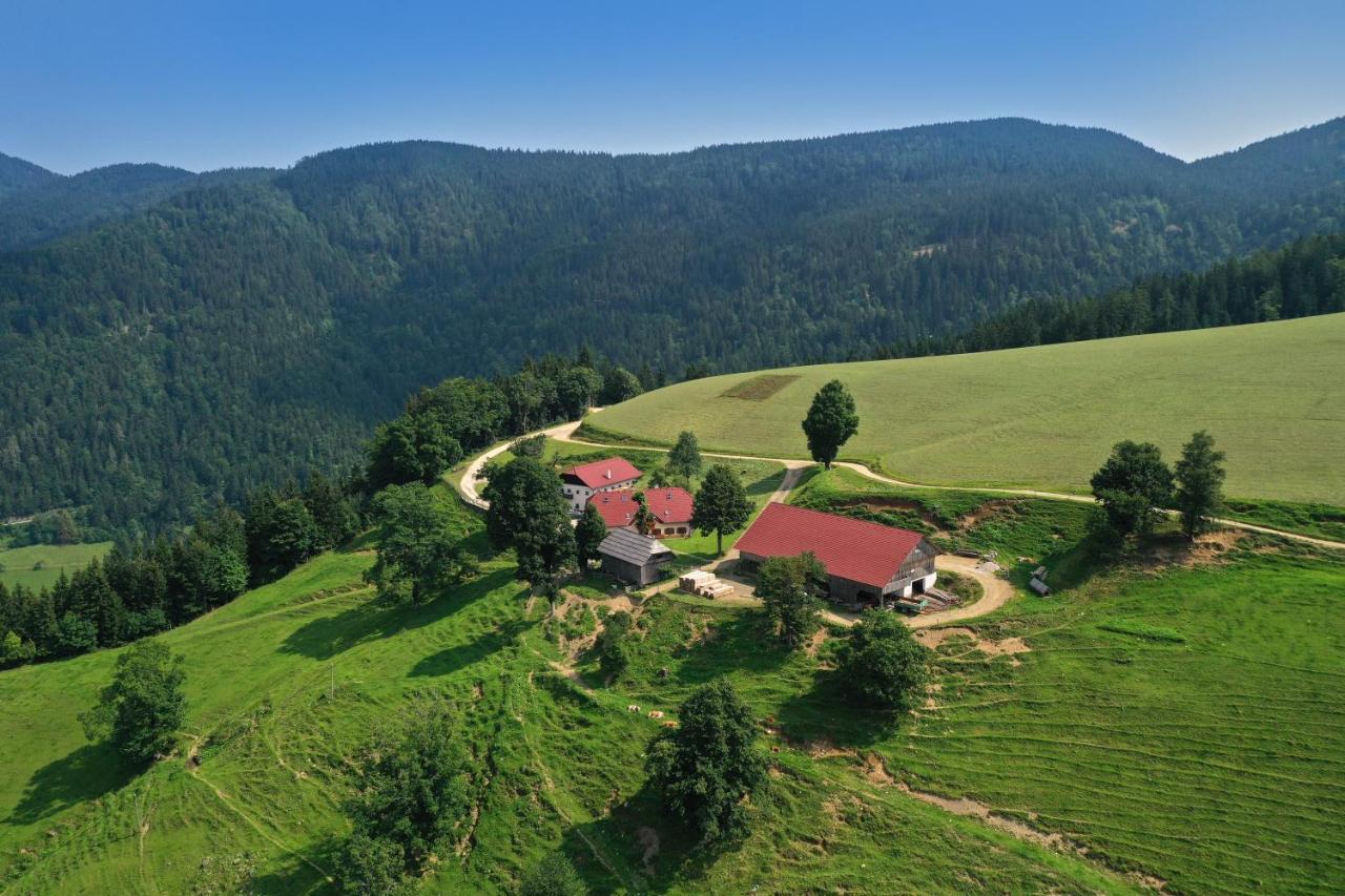 Farmstay&Glamping Visocnik Ljubno Exteriér fotografie