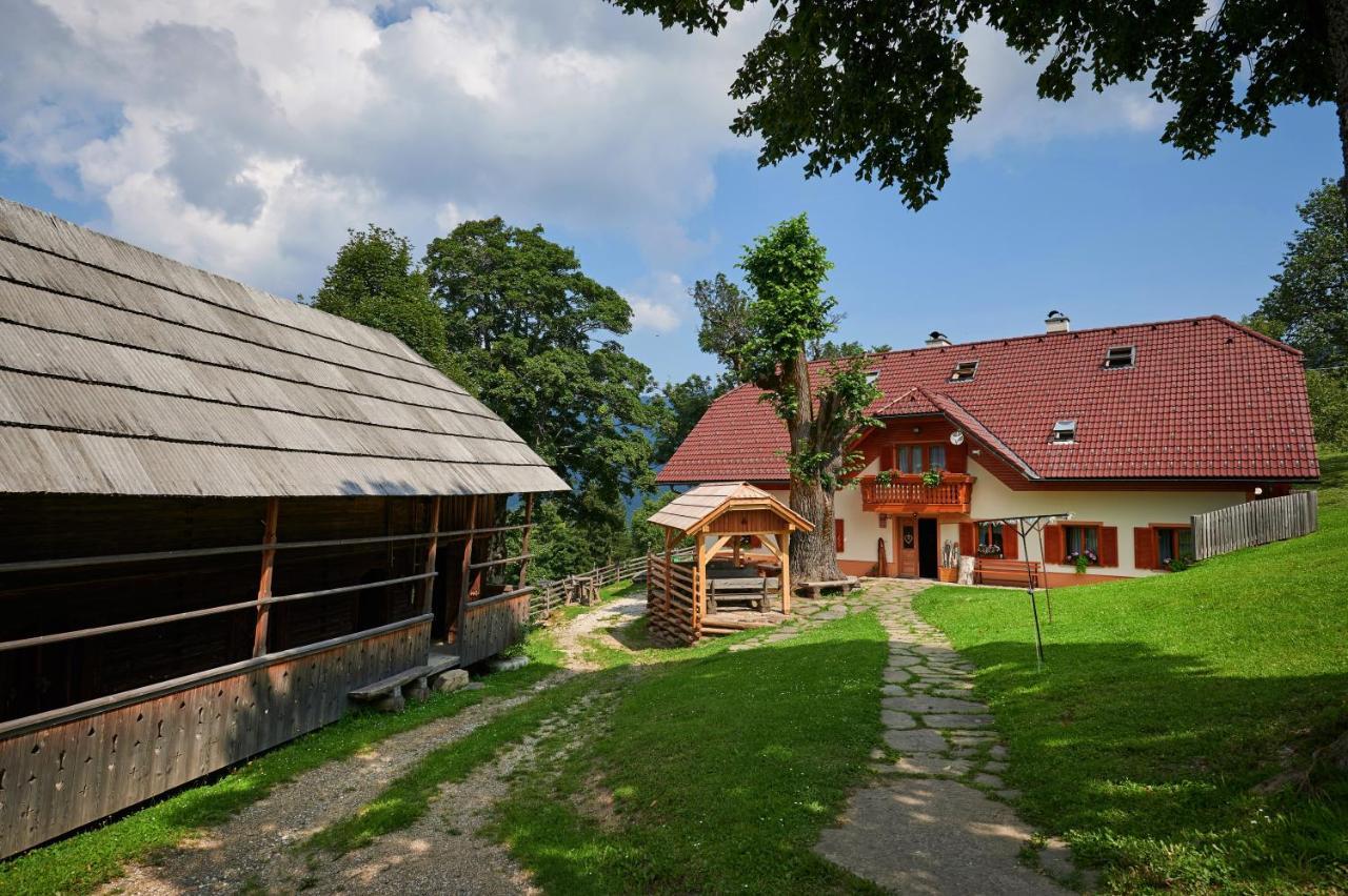 Farmstay&Glamping Visocnik Ljubno Exteriér fotografie