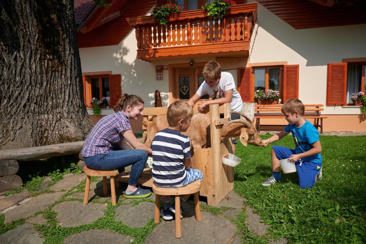 Farmstay&Glamping Visocnik Ljubno Exteriér fotografie