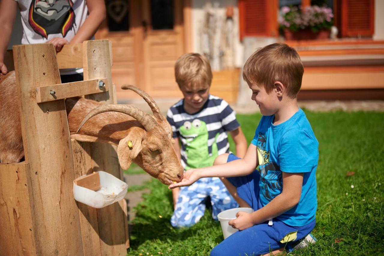 Farmstay&Glamping Visocnik Ljubno Exteriér fotografie